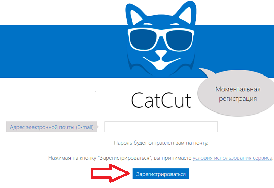регистрация catcut